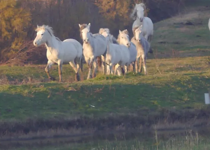 Logonovo Hébergement de vacances *